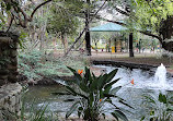 Peacock enclosure