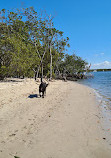 Paradise Point Beach