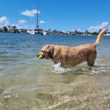 Paradise Point Beach