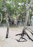 Paradise Point Beach