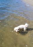 Paradise Point Beach