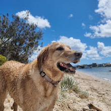 Paradise Point Beach