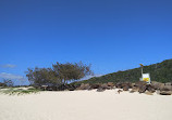 Tallebudgera Creek