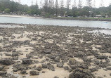 Tallebudgera Creek