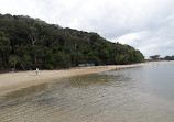 Tallebudgera Creek