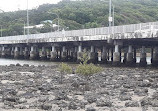 Tallebudgera Creek