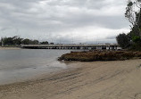 Tallebudgera Creek