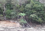 Tallebudgera Creek