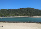 Tallebudgera Creek