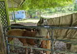 Country Paradise Parklands Adventure Playground