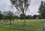 Frascott Small Dog Fenced Agility Dog Park