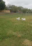 Frascott Small Dog Fenced Agility Dog Park