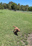 Frascott Small Dog Fenced Agility Dog Park