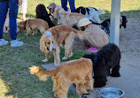 Reedy Creek Fenced Dog Park