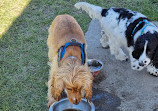 Reedy Creek Fenced Dog Park