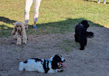 Reedy Creek Fenced Dog Park