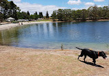 Pizzey Fenced Agility Dog Park