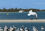 Labrador Beach