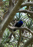 Macintosh Island Park