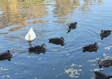 Macintosh Island Park