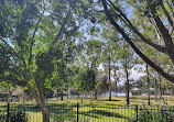 Albert Park Playground