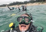 Queensland Scuba Diving Company