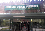 Currumbin Wildlife Sanctuary