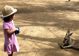 Currumbin Wildlife Sanctuary