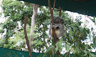 Currumbin Wildlife Sanctuary