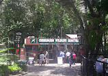 Currumbin Wildlife Sanctuary