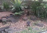 Currumbin Wildlife Sanctuary