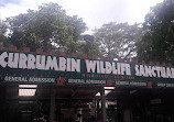 Currumbin Wildlife Sanctuary