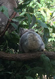 Currumbin Wildlife Sanctuary