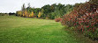 Toboggan Hill At Milliken