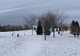 Toboggan Hill At Milliken