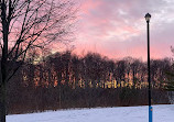 Toboggan Hill At Milliken