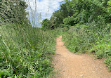 Lake Fairfax Park Pump Track