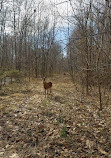 Sugarland Run Stream Valley Park