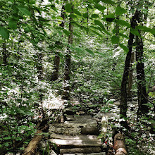 Sugarland Run Stream Valley Park