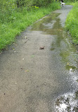 Sugarland Run Stream Valley Park