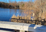 Herndon Monroe Wetland Preserve