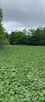 Herndon Monroe Wetland Preserve