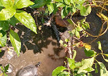 Herndon Monroe Wetland Preserve