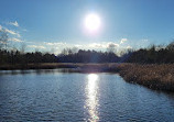 Herndon Monroe Wetland Preserve