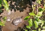 Herndon Monroe Wetland Preserve