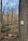 Redlands Rock Creek Trail