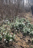 Redlands Rock Creek Trail