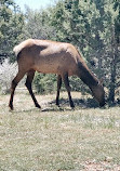 Grand Canyon Tour Company