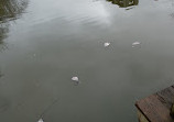 Southwest Area Park Boat Ramp