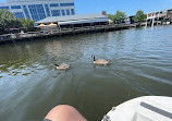 Washingtonian Paddle Boats